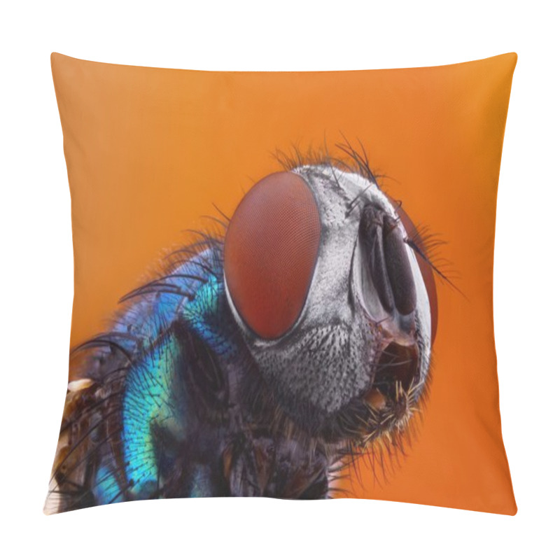 Personality  Sharp And Detailed Fly At High Magnification Taken With Macro Objective Pillow Covers