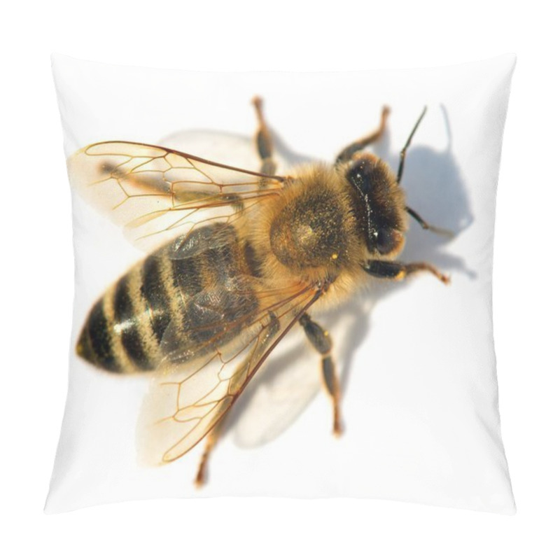 Personality  Detail Of Bee Or Honeybee , Apis Mellifera Pillow Covers