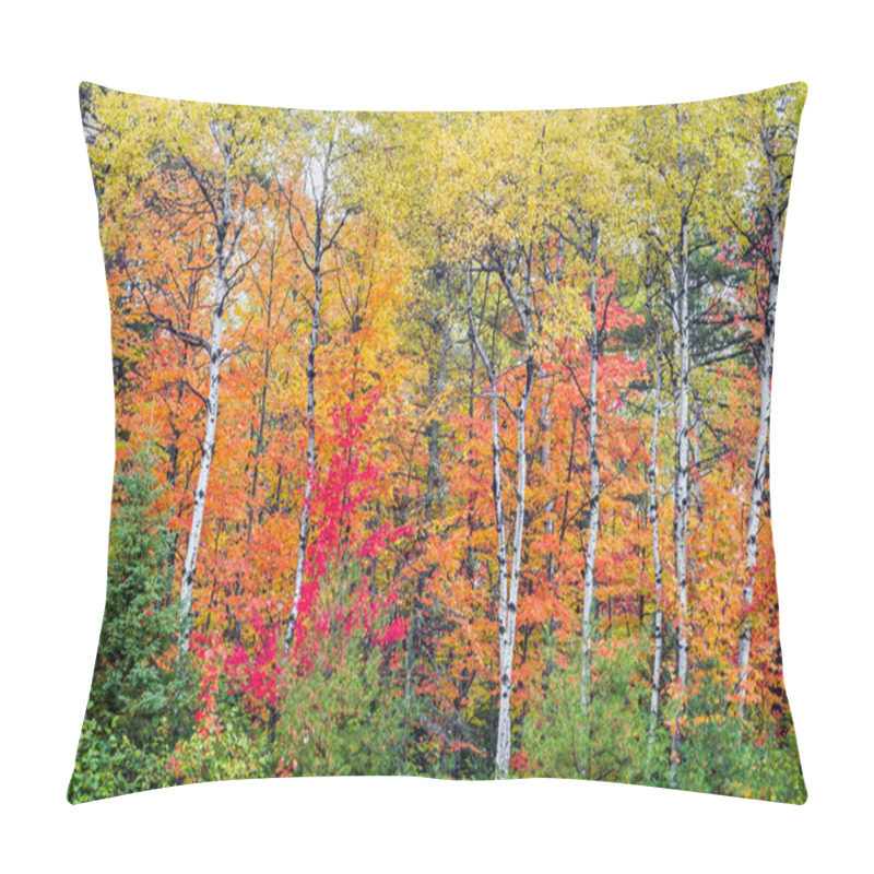 Personality  Autumn North Wood Pillow Covers