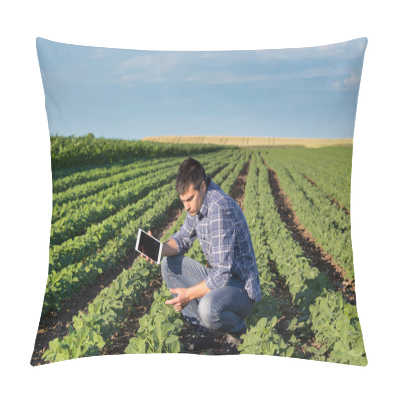 Personality  Farmer With Tablet In Soybean Field Pillow Covers