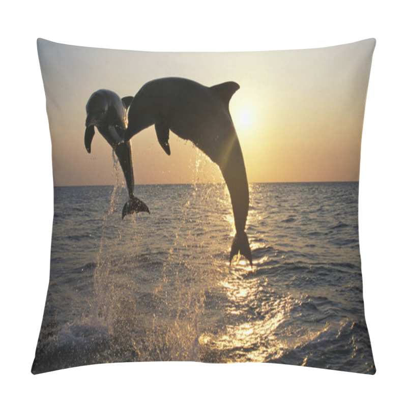 Personality  Bottlenose Dolphin, Tursiops Truncatus, Adults Jumping At Sunset, Coast Near Honduras   Pillow Covers