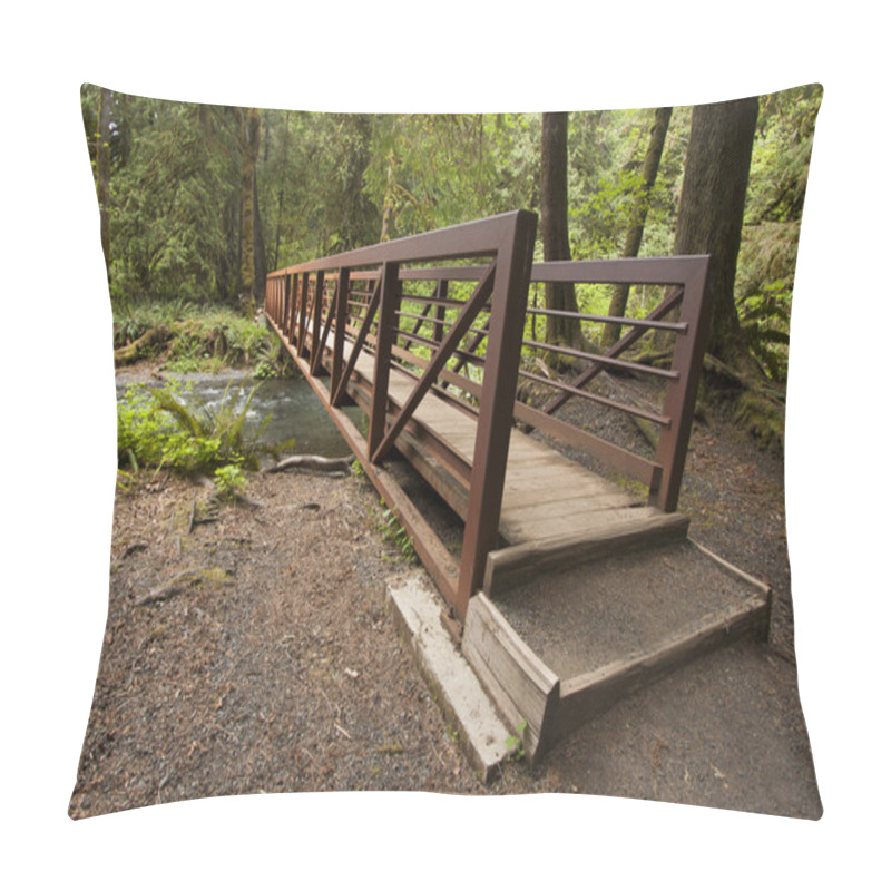 Personality  Nature Bridge Near Marymere Falls, Olympic National Park Pillow Covers