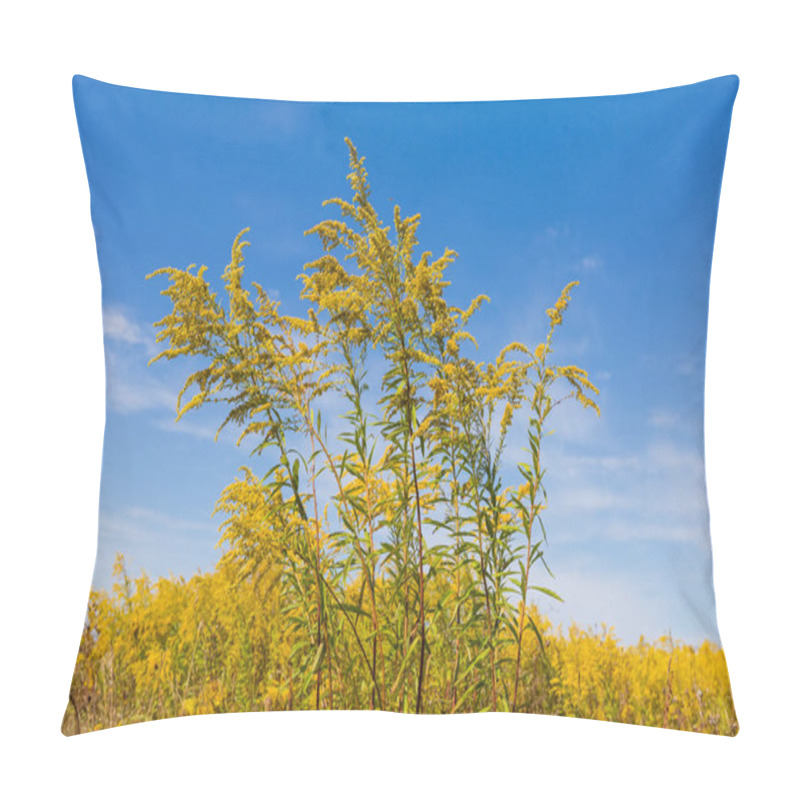 Personality  Stalks Of Flowering Canadian Goldenrod Against Sky And Plant Colony Pillow Covers