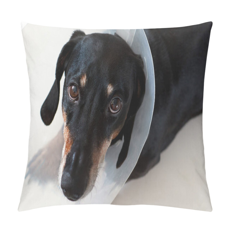 Personality  Sad Dog Lying On A Bed Sick With Vet Plastic Elizabethan Collar On Neck. A Dachshund In A Dog Collar. Treatment Of Pets. Operation Of Dogs And Animals. Veterinary Clinic For Dogs Pillow Covers