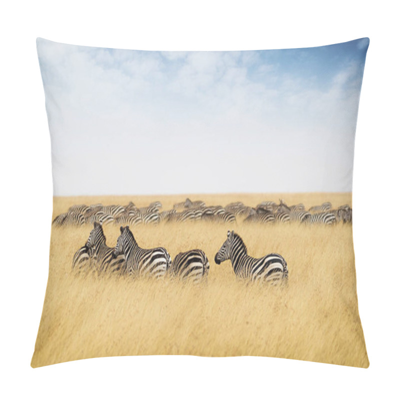 Personality  Zebras Grazing On Tall Grass Pillow Covers