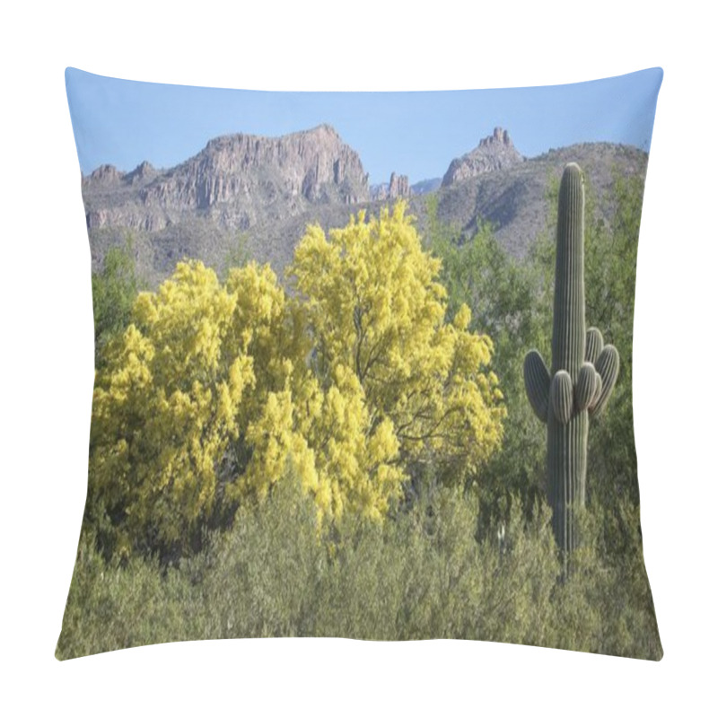 Personality  Yellow Flowering Blue Paloverde (Parkinsonia Florida) And Saguaro (Carnegiea Gigantea) Off Santa Catalina Mountains, Tucson, Arizona, USA, North America Pillow Covers