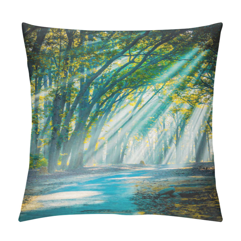 Personality  Road To Home. Sunrays With Mist Appearing Pillow Covers