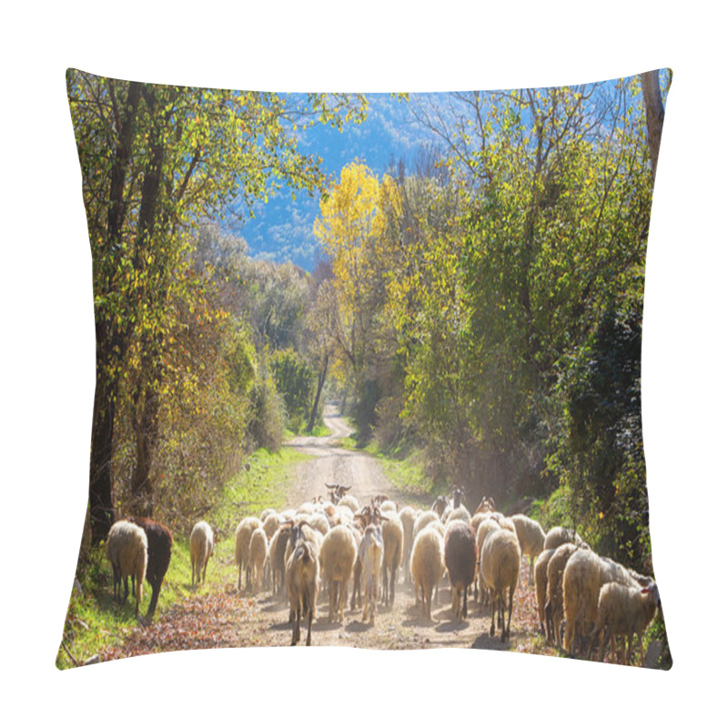 Personality  Sheep Pillow Covers