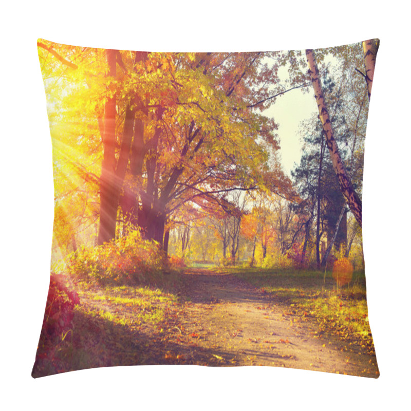 Personality  Autumn Trees  In Sun Light Pillow Covers