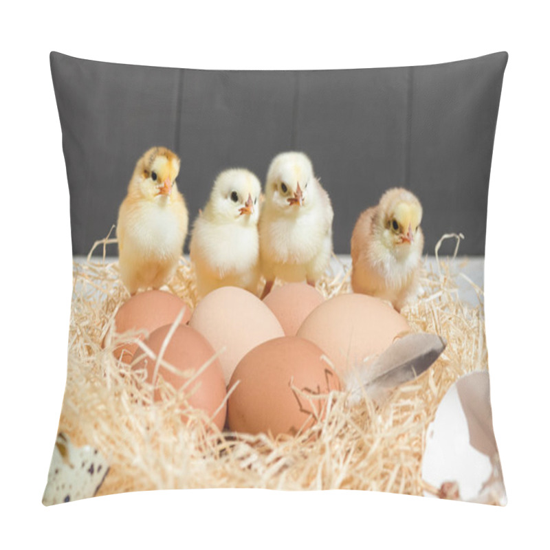 Personality  Little Chicks In The Nest. A Nest With Cute Little Chicks And Eggs. Copy Space Pillow Covers