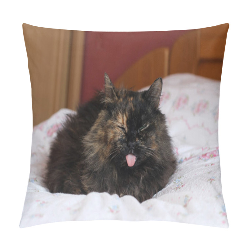 Personality  The Furry Cat Lies In The Bed With The Tongue Stuck Out. Looking Quite Funny, Dull Or Disgusted, But It Is Because Of The Gum Disease. Pillow Covers