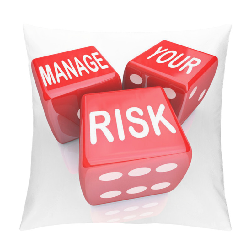 Personality  Manage Your Risk Words Dice Reduce Costs Liabilities Pillow Covers