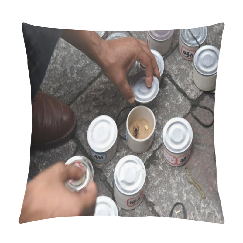 Personality  A Chinese Customer Purchases Crickets From Local Farmers At A Market In Hangzhou City, East China's Zhejiang Province, 21 August 2017. Pillow Covers