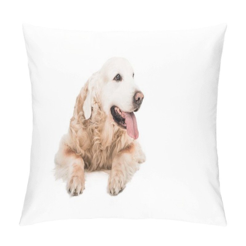 Personality  Golden Retriever Dog Pillow Covers