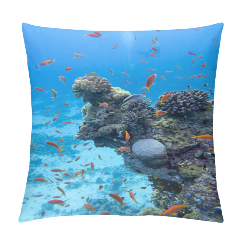 Personality  Colorful Coral Reef At The Bottom Of Tropical Sea, Hard Corals And Fishes Anthias, Underwater Landscape Pillow Covers