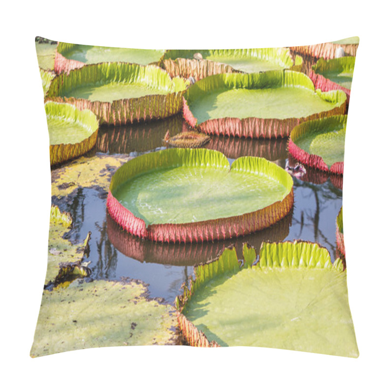 Personality  Giant Victoria Waterlily. Pillow Covers