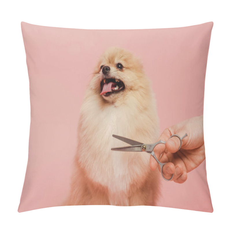 Personality  Cropped View Of Professional Groomer With Scissors Making Hairstyle To Pomeranian Spitz Dog Isolated On Pink Pillow Covers