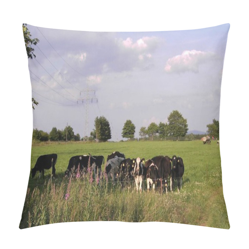 Personality  Cows Grazing On The Field Pillow Covers