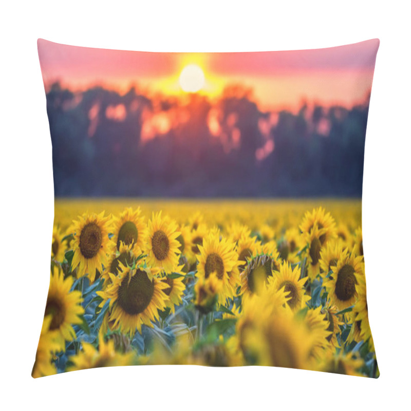 Personality  Field Of Sunflowers During Sunset Pillow Covers