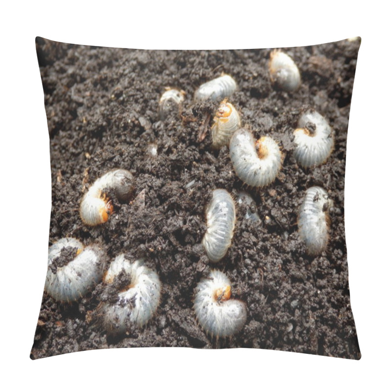 Personality  Chafer Larva (Phyllophaga) Pillow Covers