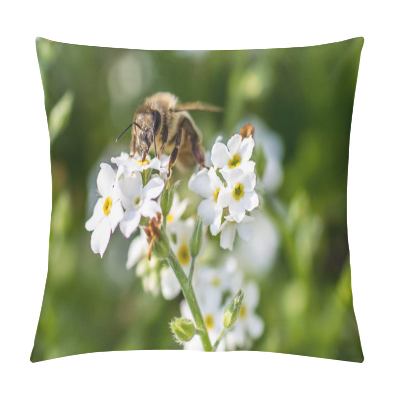 Personality  Western Honey Bee Pillow Covers