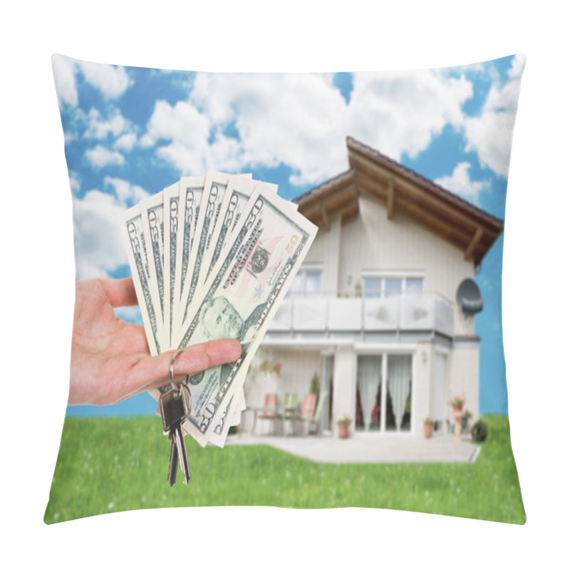 Personality  Dollar Notes Against House Pillow Covers