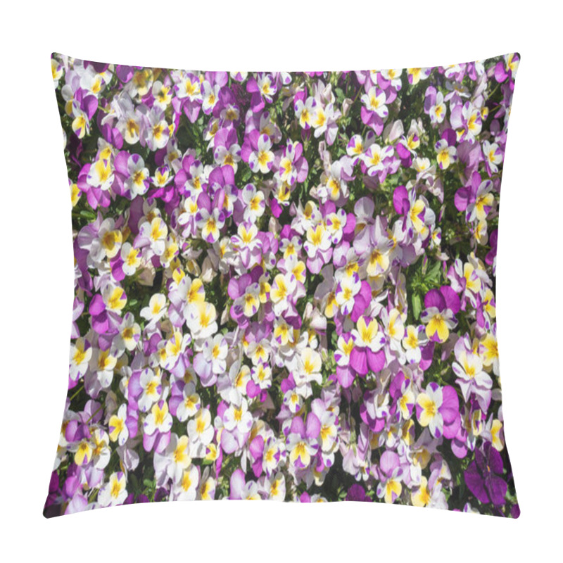 Personality  Numerous Horn Violets In White,purple And Yellow Pillow Covers