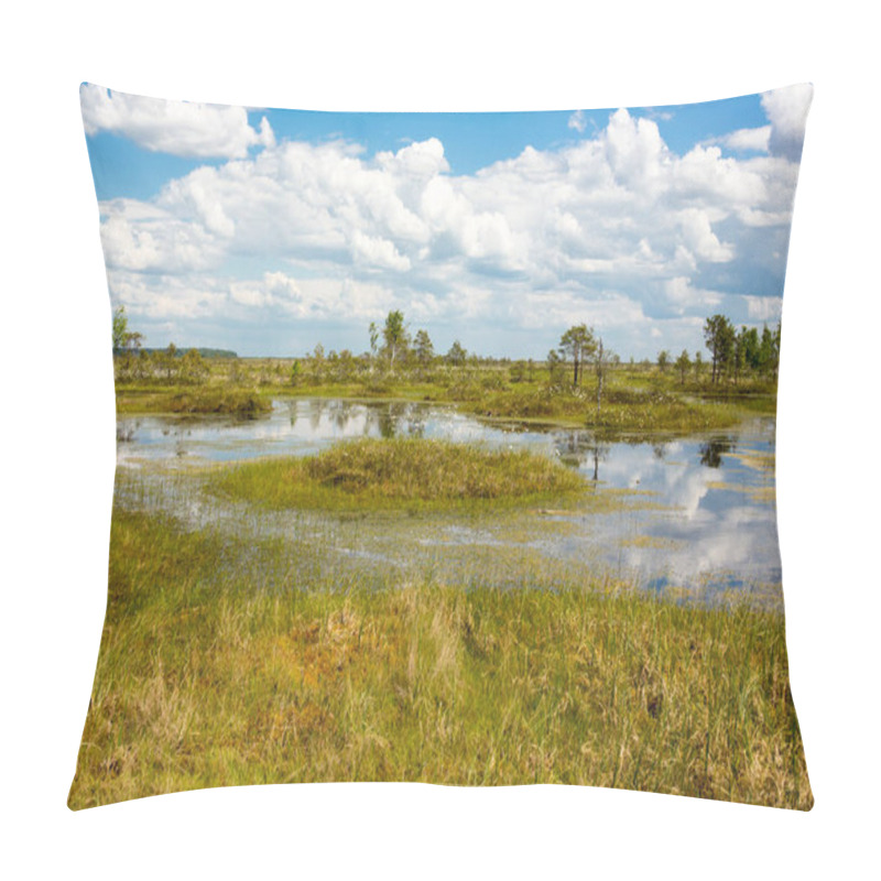 Personality  Swamps. Belarusian Swamps Are The Lungs Of Europe. Ecological Reserve Yelnya. Pillow Covers