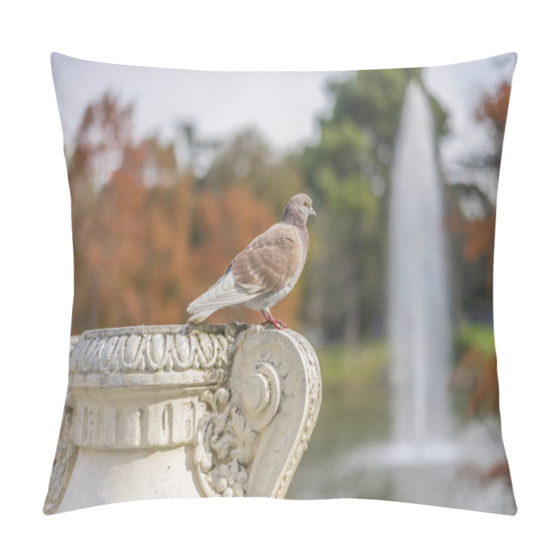 Personality  Groups Of Sparrows Resting On A Ledge Next To A Lake In Retiro Park, Madrid, Spain Pillow Covers