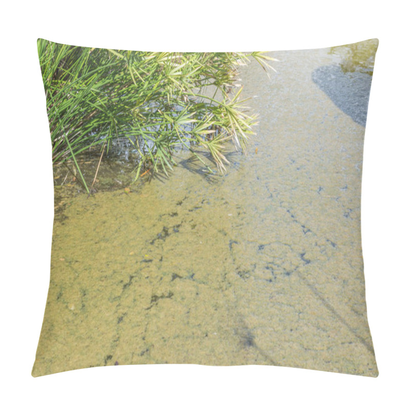 Personality  Image Of Waste Water Pond With Scum On Top Of Water. Pillow Covers