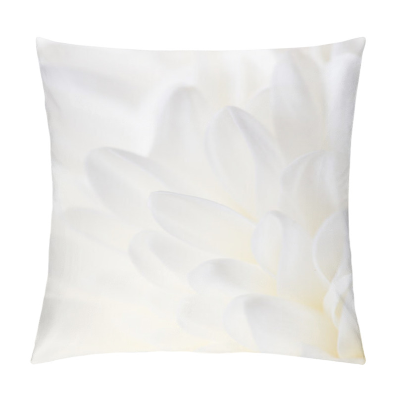 Personality  Beautiful Nature . Background Pillow Covers