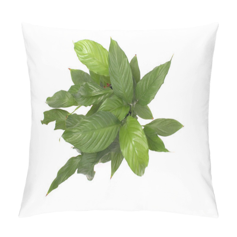 Personality  Flower With Green Leaves Pillow Covers