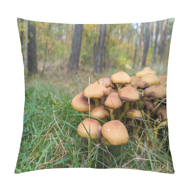 Personality  Cluster Of Wild Mushrooms On Forest Floor Pillow Covers