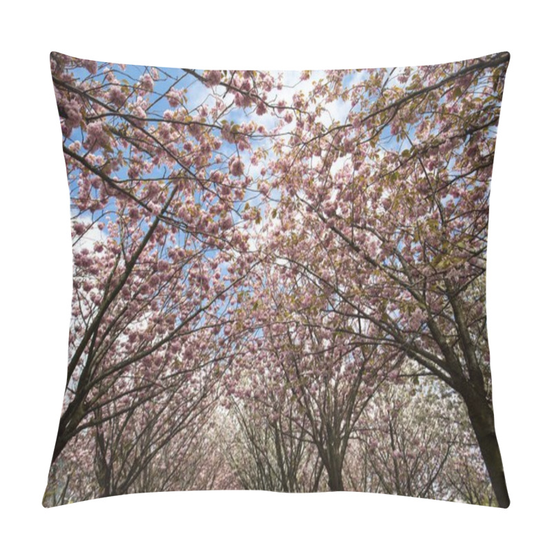 Personality  Garden With Flowering Trees Inspired By Van Gogh Paintings Between The Van Gogh Museum And The Rijksmuseum On A Spring Day. Amsterdam, Netherlands Pillow Covers