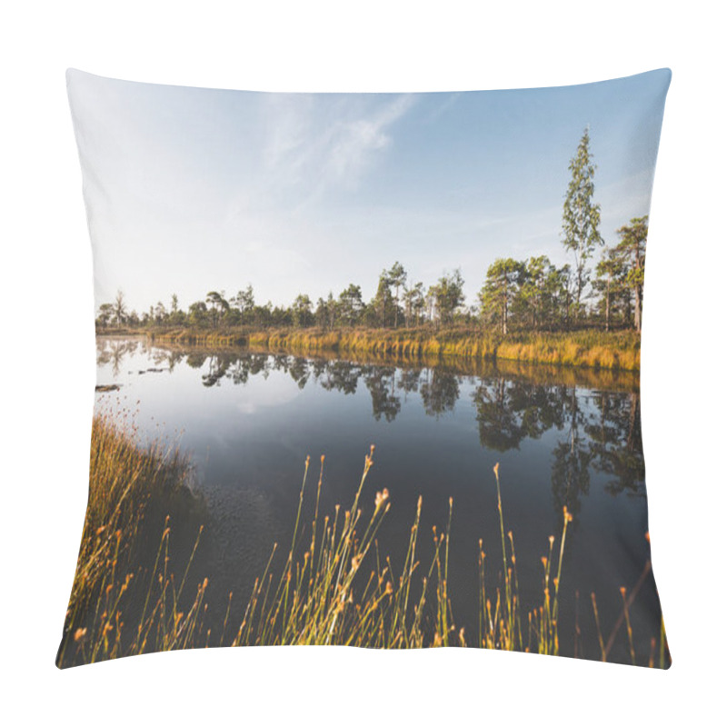 Personality  Clear Blue Sky Above The Crystal Clear Lake (bog) At Sunrise. Pine Trees And Heather Flowers In The Background. Symmetry Reflections On Water, Natural Mirror. Autumn In Kemeri National Park, Latvia Pillow Covers