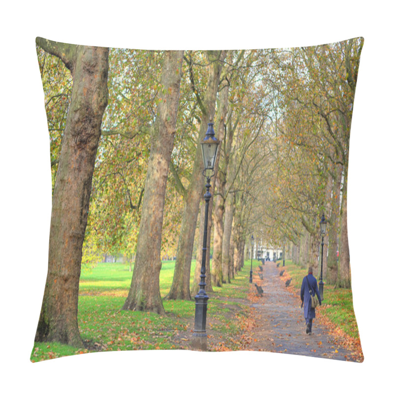 Personality  A Beautiful View Of St. Jamess Park In London During SprinG Pillow Covers