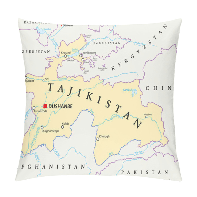 Personality  Tajikistan Political Map Pillow Covers