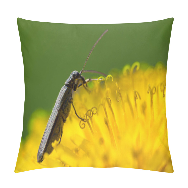 Personality  Yellow Dandelion Blossom With Small Bug, Macro Photo Pillow Covers