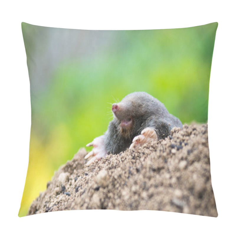 Personality  European Mole Crawling Out Of Molehill Above Ground, Showing Strong Front Feet Used For Digging Underground Tunnels Pillow Covers