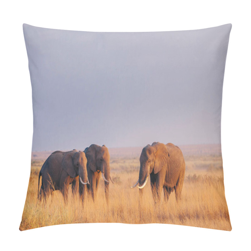 Personality  Three Elephants On Dried Grass Field Pillow Covers