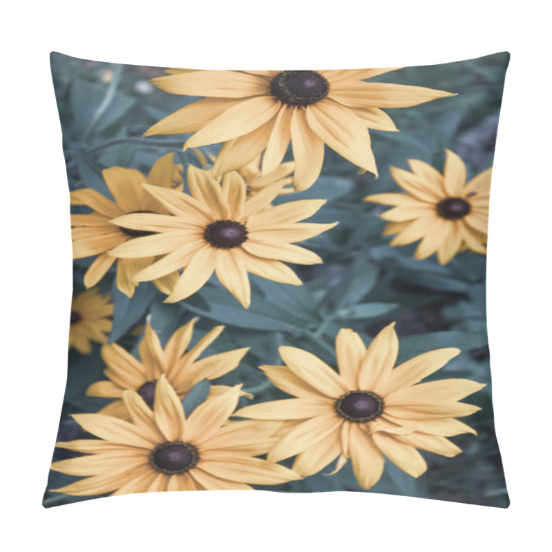 Personality  Close Up Of Black-eyed Susan Flowers Pillow Covers