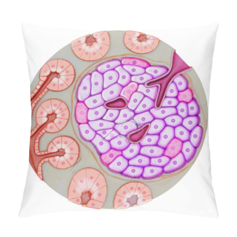 Personality  Pancreatic Gland Cells Pillow Covers