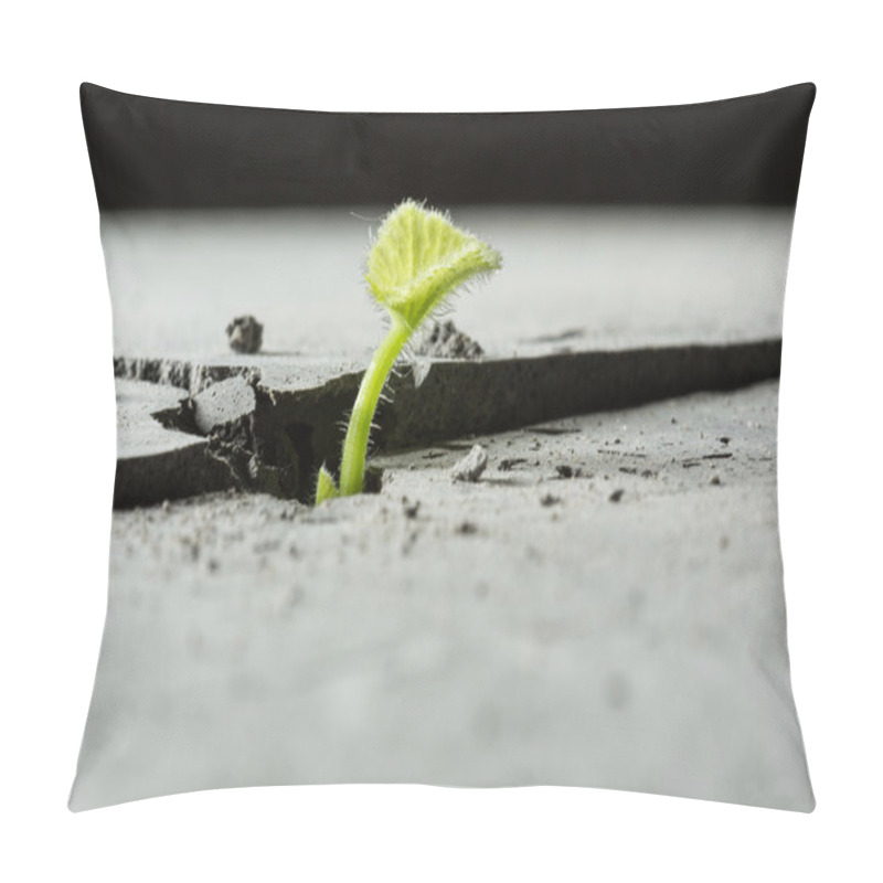 Personality  New Growing Life Pillow Covers