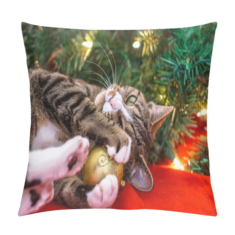 Personality  Christmas Cat Pillow Covers