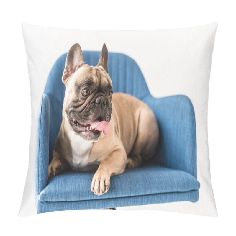 Personality  French Bulldog  Pillow Covers