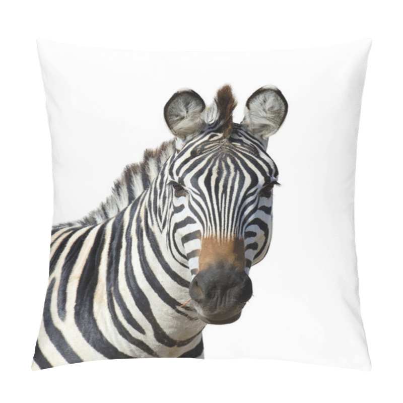 Personality  Zebra On White Background Pillow Covers