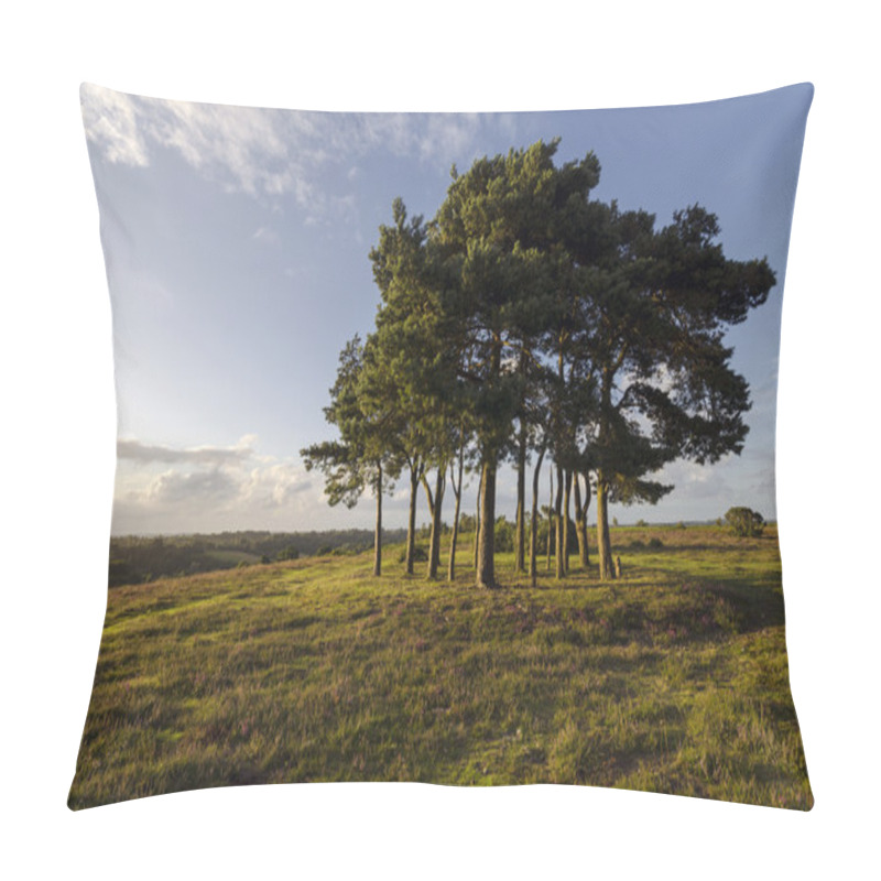 Personality  Clump Of Scots Pine Trees Pillow Covers