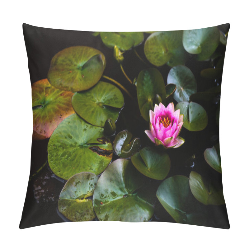 Personality  Lily Pads And Lotus Flower In A Calm Pond Pillow Covers