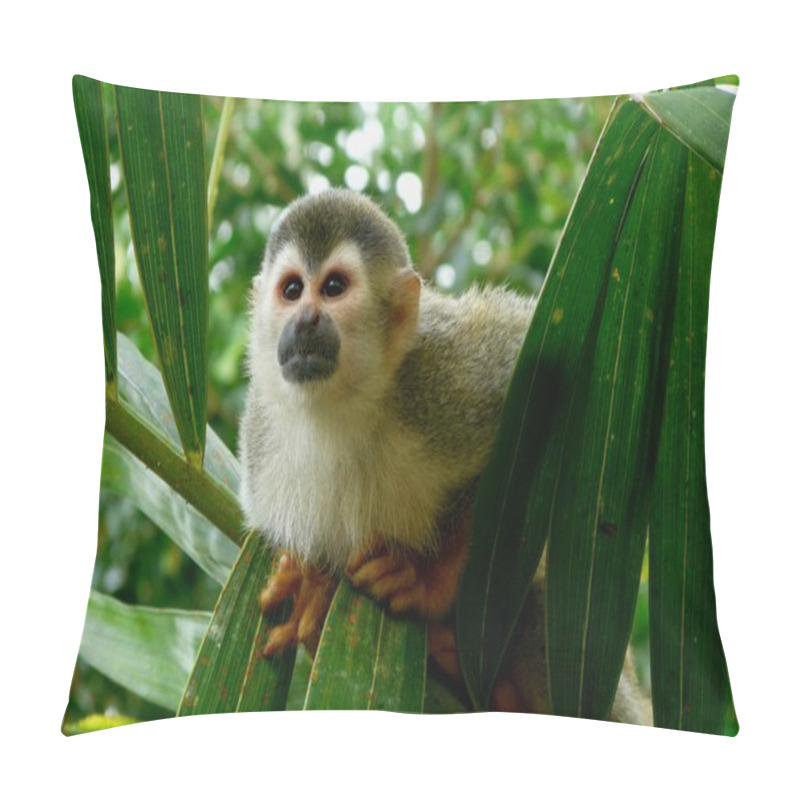 Personality  Lovely Squirrel Monkey In Manuel Antonio National Park, Costa Rica Pillow Covers