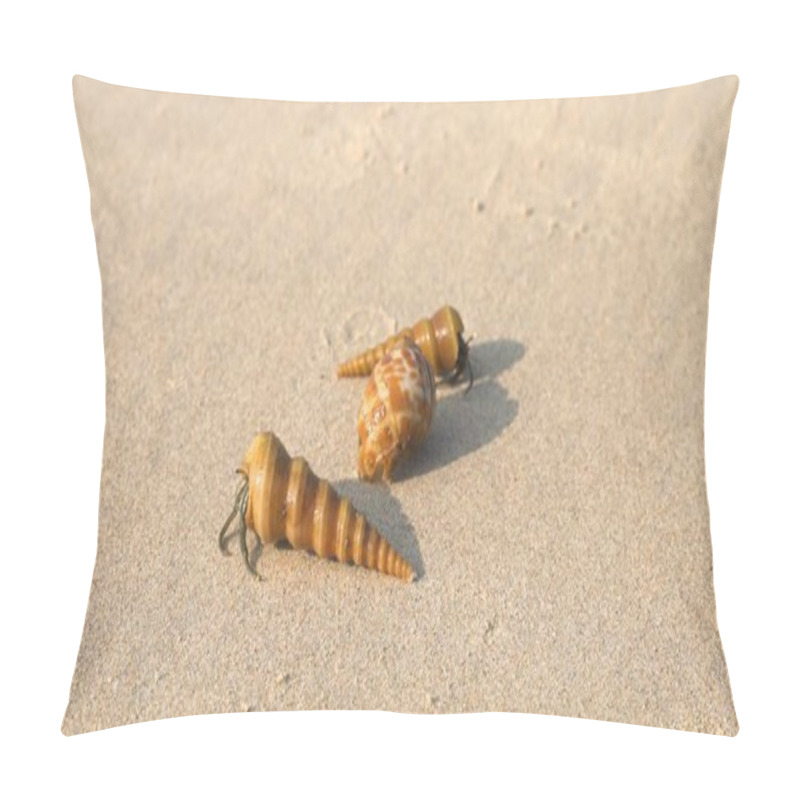 Personality  Hermit Crabs On The Sand In Their Shells. High Quality Photo Pillow Covers